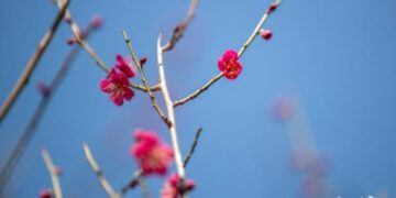 Nail Biting and Leg Shaking: Are These Habits Signs of Anxiety?