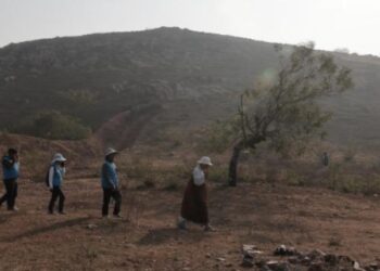 Even Those Who Live Dishonestly Seem to Prosper. Am I the Only One Losing Out by Being Honest?