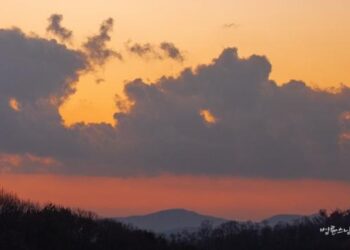 How Much Support Should a Mother Provide for the Independence of a Child with Disabilities?