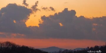 How Much Support Should a Mother Provide for the Independence of a Child with Disabilities?