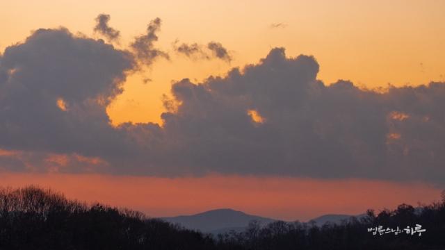 How Much Support Should a Mother Provide for the Independence of a Child with Disabilities?