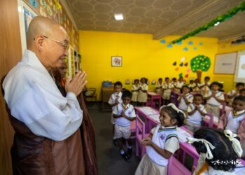 Should I Dispose of Remaining Embryos After IVF Treatment to Find Peace of Mind?