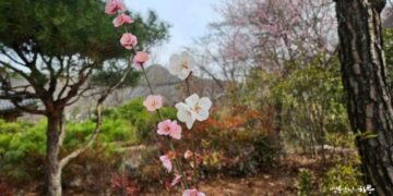 “When Pushing Forward with Work, When Should We Push and When Should We Step Back?”