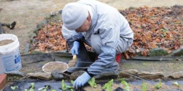 How Can We Let Go of Attachment in Work and Relationships?