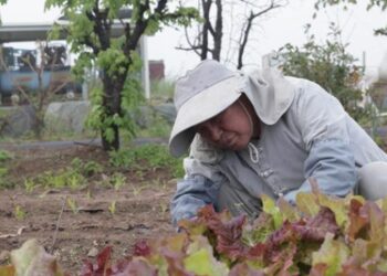 What Should I Do When My Mother Is Sad and Struggling Because of Family?