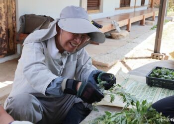 Should I Discharge from the Military Due to My Injury During Rehabilitation?